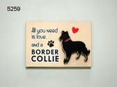 Magneet Love and a Border Collie