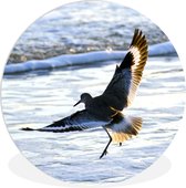 Un willet atterrit sur la plage Assiette en plastique cercle mural ⌀ 90 cm - impression photo sur cercle mural / cercle vivant (décoration murale)