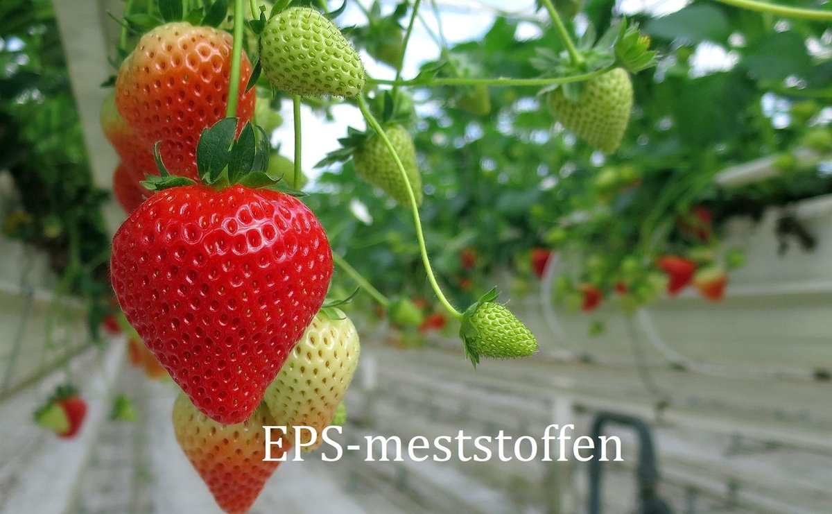 EPS bloei plantenvoeding 5 liter