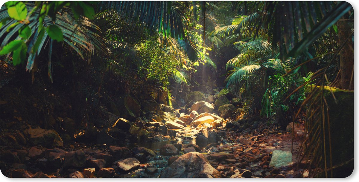 Muismat XXL 90x45 cm - Bureau onderlegger - Bureau mat Jungle - Zon - India - Jongens - Meisjes - Kinderen - Bureaumat - Gaming mousepad xl - Bureaulegger groot - Computer deskmat