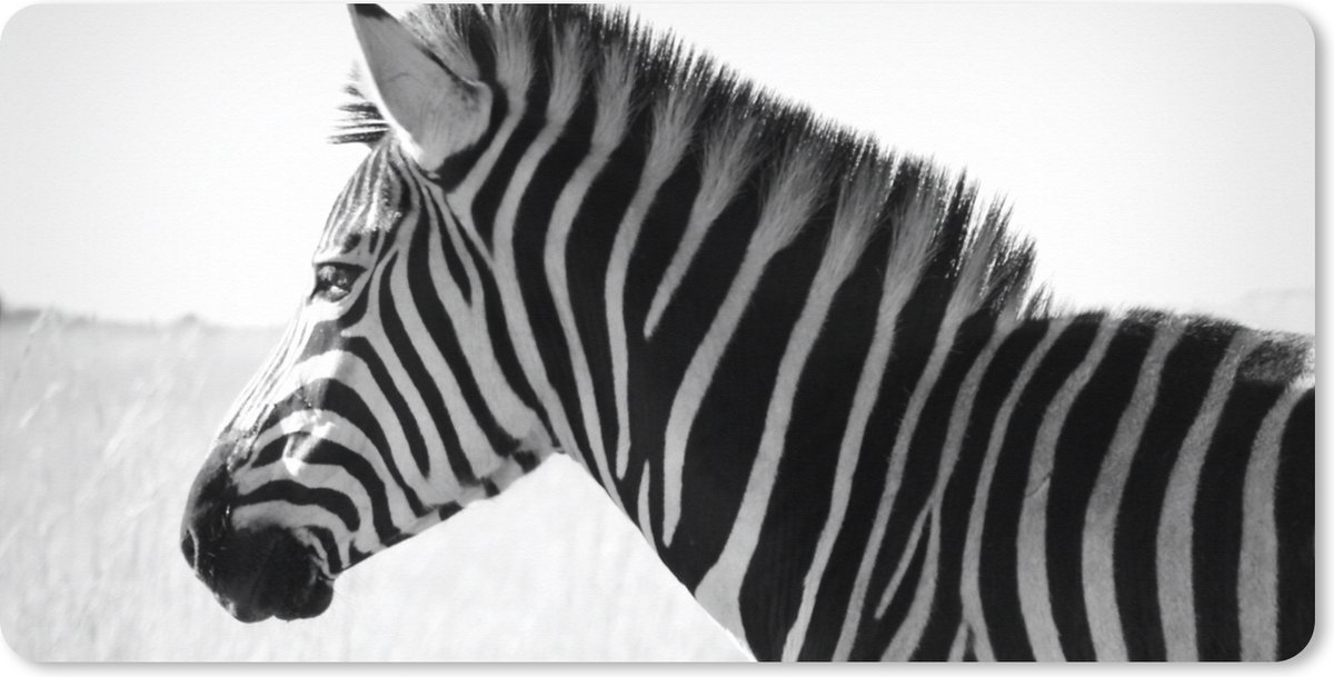 Muismat XXL 90x45 cm - Bureau onderlegger - Bureau mat Zebra in het hoge gras - Bureaumat - Gaming mousepad xl - Bureaulegger groot - Computer deskmat