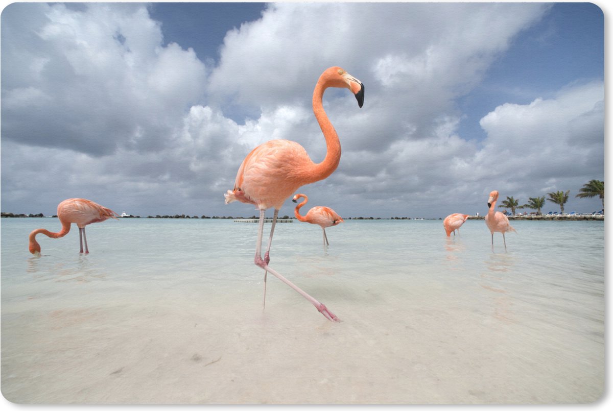 Muismat XXL 90x60 cm - Bureau onderlegger - Bureau mat Flamingo's op een eiland in Aruba - Bureaumat - Gaming mousepad xl - Bureaulegger groot - Computer deskmat