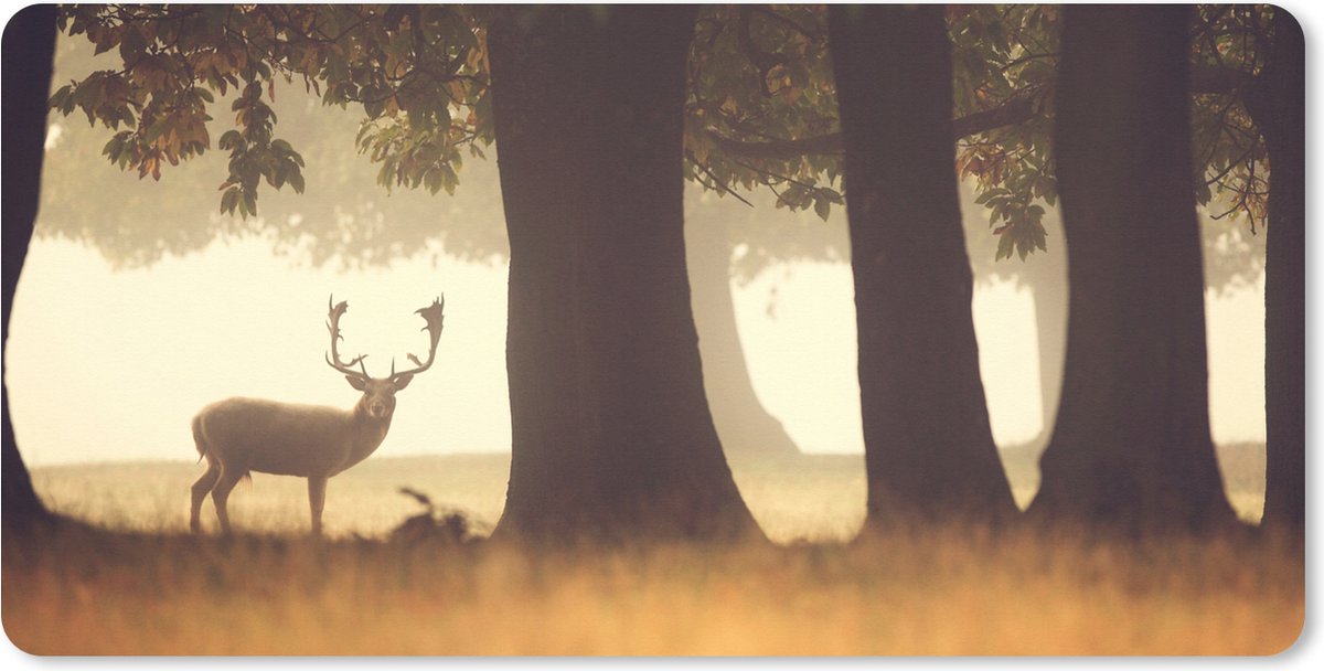 Muismat XXL 100x50 cm - Bureau onderlegger - Bureau mat Hert - Bomen - Bos - Bureaumat - Gaming mousepad xl - Bureaulegger groot - Computer deskmat