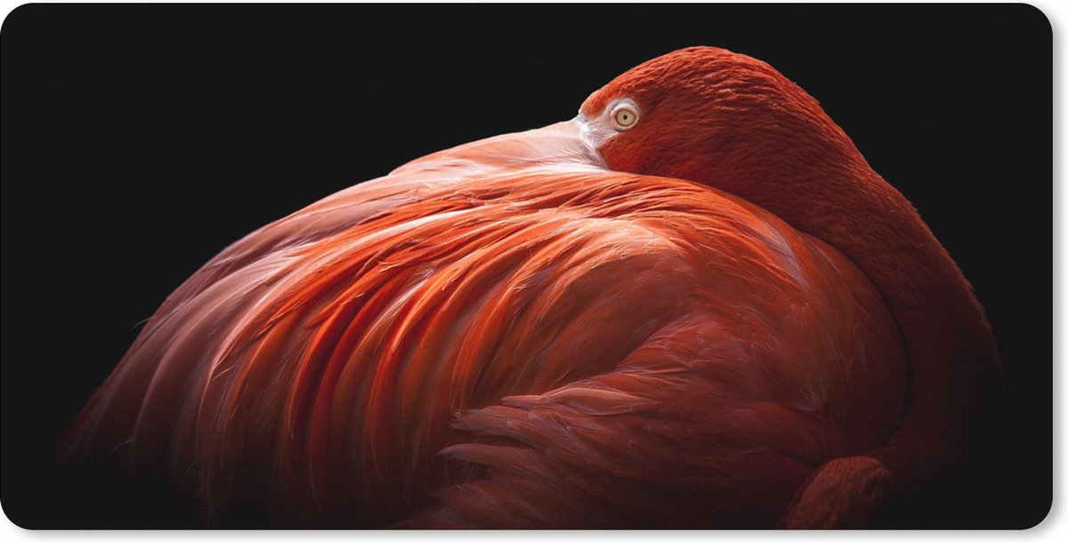 Muismat XXL 120x60 cm - Bureau onderlegger - Bureau mat Flamingo - Veren - Roze - Bureaumat - Gaming mousepad xl - Bureaulegger groot - Computer deskmat