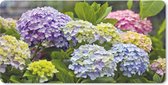 Muismat XXL - Bureau onderlegger - Bureau mat - Verschillende hortensia bloemen - 120x60 cm - XXL muismat
