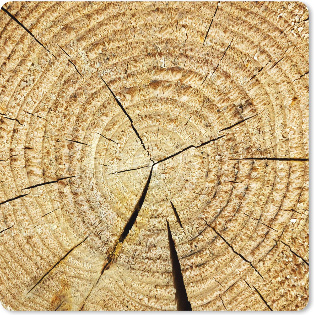 Muismat XXL 40x40 cm - Bureau onderlegger - Bureau mat Boom - Jaarring - Boomstronk - Bureaumat - Gaming mousepad xl - Bureaulegger groot - Computer deskmat