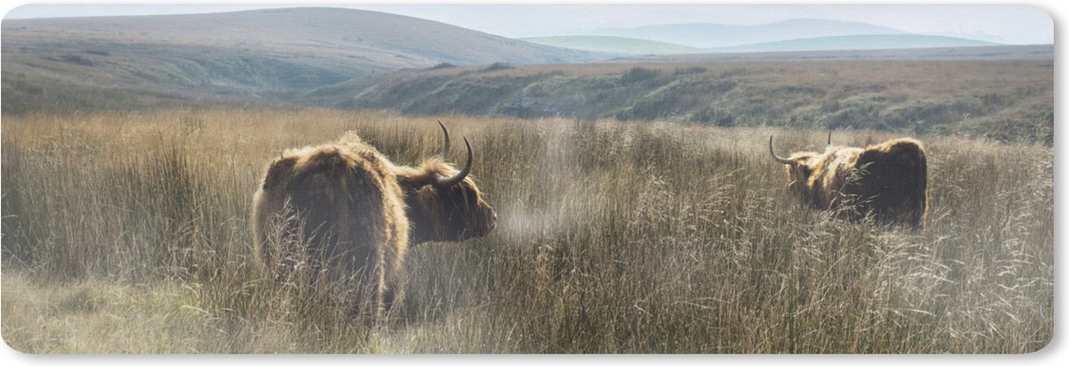 Muismat XXL 90x30 cm - Bureau onderlegger - Bureau mat Schotse Hooglanders - Mist - Gras - Bureaumat - Gaming mousepad xl - Bureaulegger groot - Computer deskmat