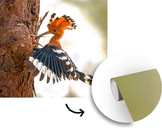 Papier Peint - Papier peint photo Vogel - Arbre - Forêt - Largeur 300 cm x Hauteur 300 cm