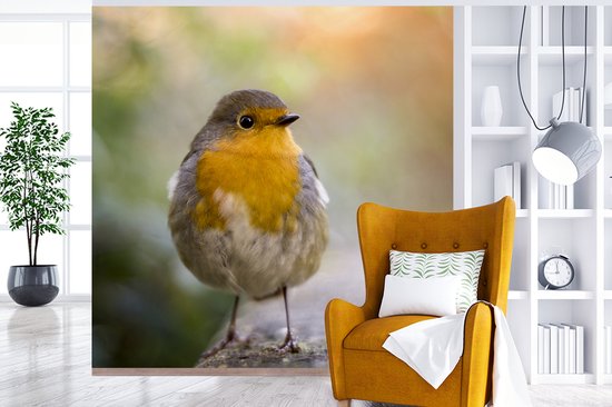Papier Peint - Papier peint photo Vogels - Rouge-gorge - Arbre - Largeur 300 cm x Hauteur 300 cm