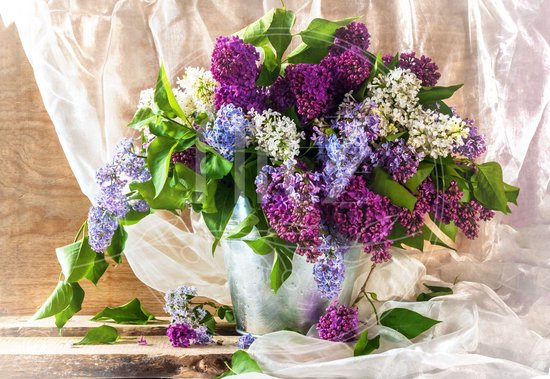 Production 100% néerlandaise! │ Peinture de diamants │ Bouquet de Fleurs Papillons│ Taille 75 x 50 cm │ Peinture de diamants Forfait Mature │ Full Cover │ Carré │ Full │ Flitzz Peinture de diamants