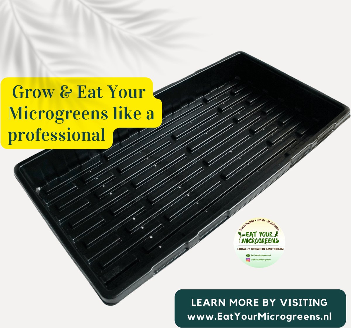 1020 Microgreen Deep Tray - Kweekbak Zaaitray met gaten - Microgroenten Keim - Eat Your Microgreens