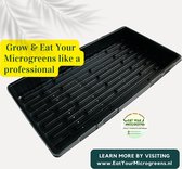 Kiemgroenten kweken: superfood uit eigen keuken