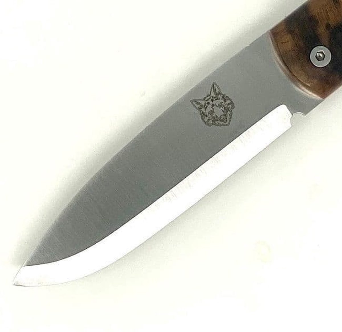 Fox folding lockknifeTurkish Walnut