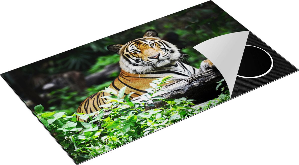 Chefcare Inductie Beschermer Tijger in het Bos - 90x50 cm - Afdekplaat Inductie - Kookplaat Beschermer - Inductie Mat