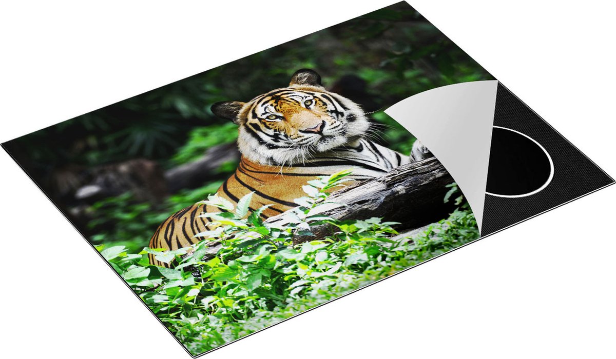 Chefcare Inductie Beschermer Tijger in het Bos - 70x50 cm - Afdekplaat Inductie - Kookplaat Beschermer - Inductie Mat