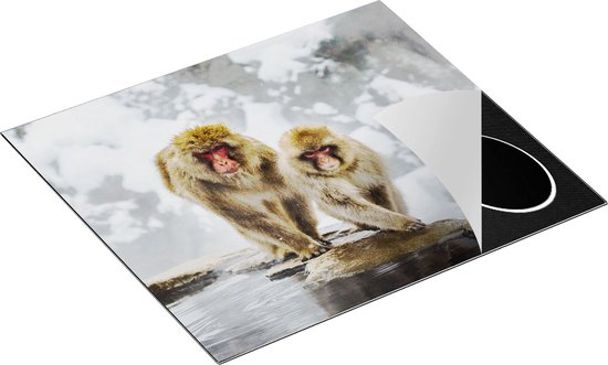Chefcare Inductie Beschermer Twee Aapjes in de Sneeuw op Rotsen - 59x52 cm - Afdekplaat Inductie - Kookplaat Beschermer - Inductie Mat