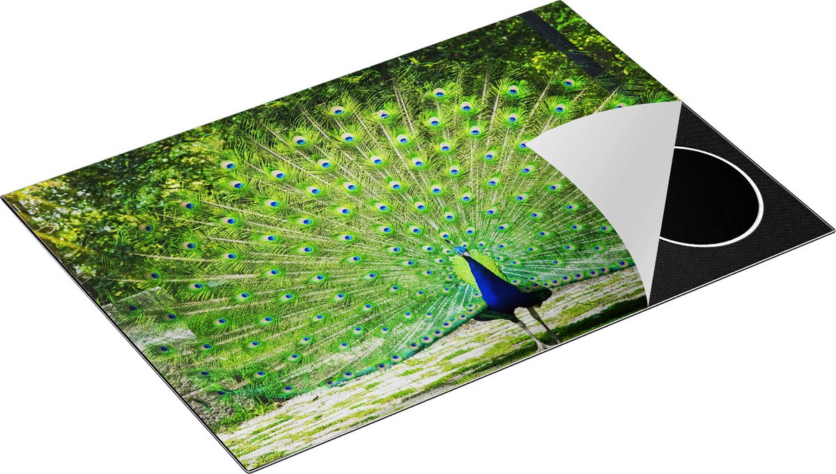 Chefcare Inductie Beschermer Pauw met Grote Kleurrijke Veren - 77x51 cm - Afdekplaat Inductie - Kookplaat Beschermer - Inductie Mat