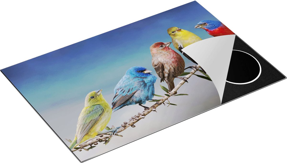 Chefcare Inductie Beschermer Kleurrijke Zangvogels op een Tak - Kleur - 81,2x52 cm - Afdekplaat Inductie - Kookplaat Beschermer - Inductie Mat