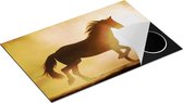 Chefcare Inductie Beschermer Silhouet van een Paard - 80x52 cm - Afdekplaat Inductie - Kookplaat Beschermer - Inductie Mat