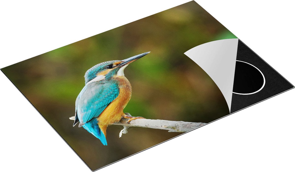 Chefcare Inductie Beschermer Blauwe IJsvogel op een Tak - 70x52 cm - Afdekplaat Inductie - Kookplaat Beschermer - Inductie Mat