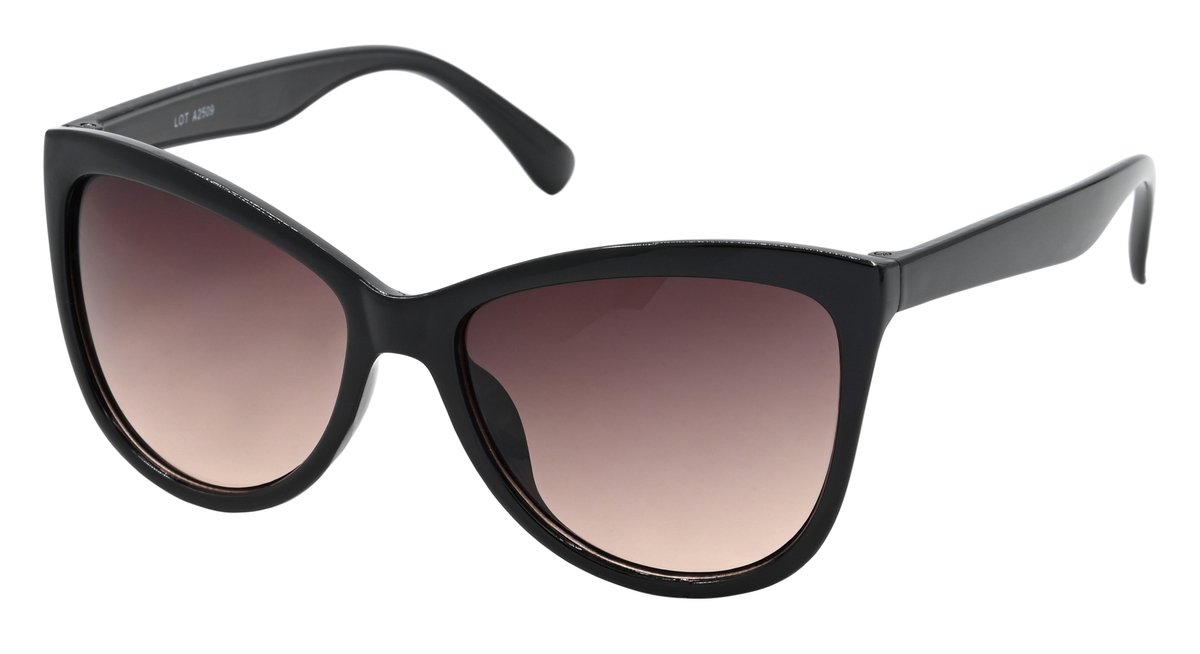 Hidzo Volwassen Butterfly Zonnebril Zwart - UV 400 - Bruine Glazen - Inclusief Brillenkoker