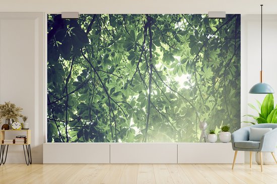 Papier peint Papier peint photo en vinyle - Branches au soleil largeur 360 cm x hauteur 240 cm - Tirage photo sur papier peint (disponible en 7 tailles)