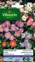 Vilmorin - Aster - Madeleine gemengd - V355