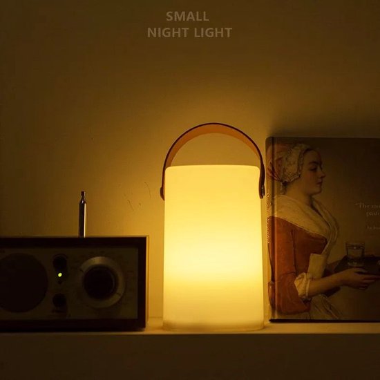 Muziek Box - Lamp - Bluetooth - Box voor buiten - Verschillende kleuren |  bol