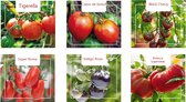 Cactula groente zaden set van 6 verschillende tomaten zaden |  Tomaat Tigerella | Kerstomaat Dolly |  Kerstomaat Cherry | Vleestomaat Bistecca | Kerstomaat Black Cherry | Zaai je eigen heerlijke tomaten!