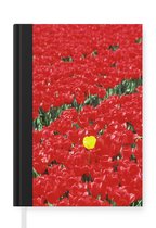 Notitieboek - Schrijfboek - Een veld met rode tulpen in Nederland - Notitieboekje klein - A5 formaat - Schrijfblok