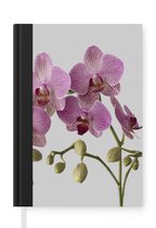 Notitieboek - Schrijfboek - Orchideeën op grijze achtergrond - Notitieboekje klein - A5 formaat - Schrijfblok