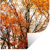 Stickers Stickers muraux - Forêt - Automne - Saisons - 80x80 cm - Film adhésif