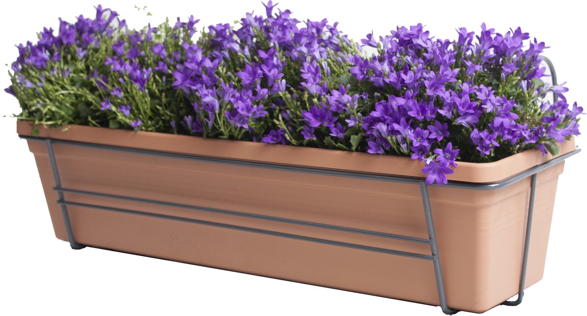Improv Campanula Addenda Lavender in ELHO Green Basics balkonbak (Mild Terra) met metalen balkonrek ↨ 30cm hoge kwaliteit planten