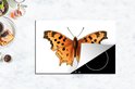Product afbeelding  12