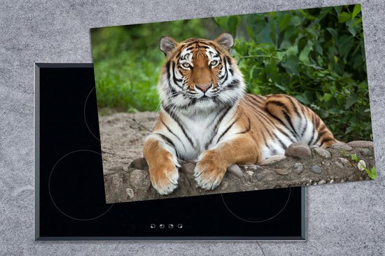 KitchenYeah® Inductie beschermer 80x52 cm - Tijger - Natuur - Stenen - Kookplaataccessoires - Afdekplaat voor kookplaat - Inductiebeschermer - Inductiemat - Inductieplaat mat