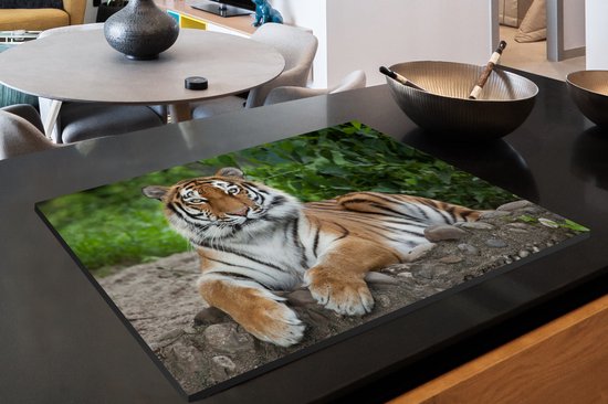 KitchenYeah® Inductie beschermer 80x52 cm - Tijger - Natuur - Stenen - Kookplaataccessoires - Afdekplaat voor kookplaat - Inductiebeschermer - Inductiemat - Inductieplaat mat