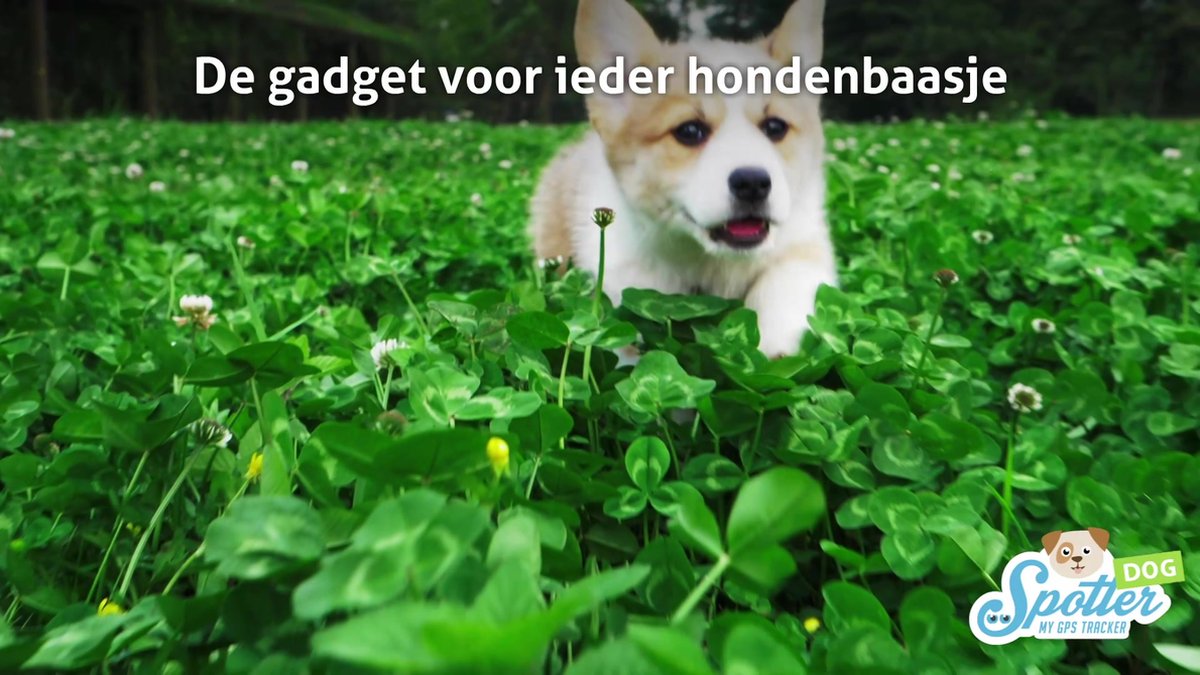 Spotter® GPS Tracker voor Honden