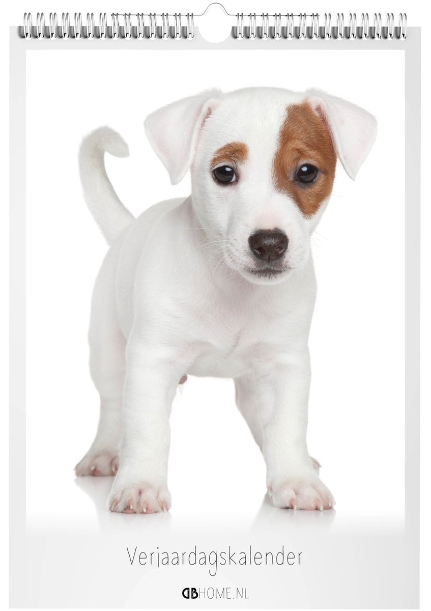 Kalender Puppies