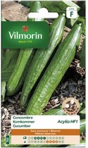 Vilmorin- komkommer- AcyliaHF1- V703