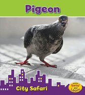 City Safari - Pigeon