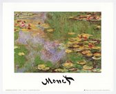 Mini kunstposter - Waterlelievijver bij Giverny - Claude Monet - 24x30 cm