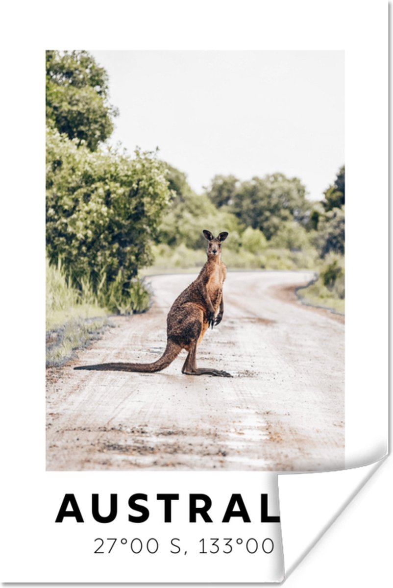 Poster Australië - Kangoeroe - Natuur - 60x90 cm