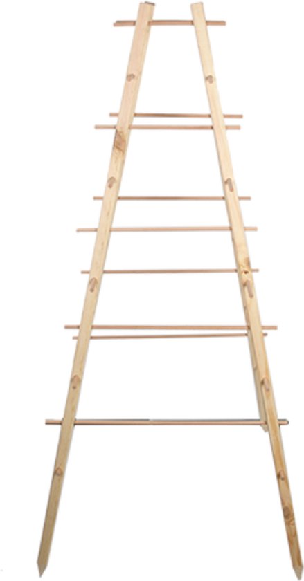 Pyramide trellis als plantensteun voor tomaten en komkommers