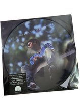 2014 Forest Hills Drive (Picture Disc) (Black Friday 2019)