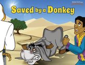 Defenders of the Faith- Saved by a Donkey