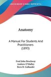Anatomy