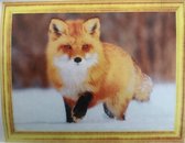 Diamond Painting 50 X 40 - Vos in de sneeuw - Volledige bedekking, Complete set 019