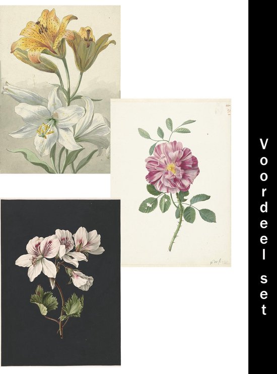Fotowand Bloemen Vintage Kleur - Poster Set van 3 Schilderkunst -  Planten Stilleven Botanisch Roos en Lelies Schilderij