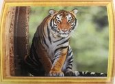 Diamond Painting 50 X 40 - Zittende tijger - Volledige bedekking, Complete set 008