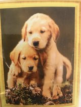 Diamond Painting 50 X 40 - 2 Pups - Volledige bedekking, Complete set 043